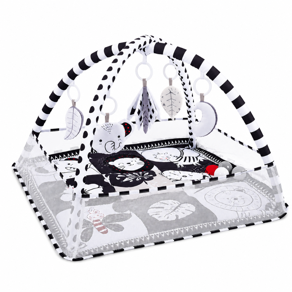 Little Teekie Baby Activity Play Gym Mat