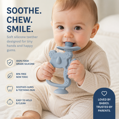 Little Teekie Koala Silicone Teether & Pacifier