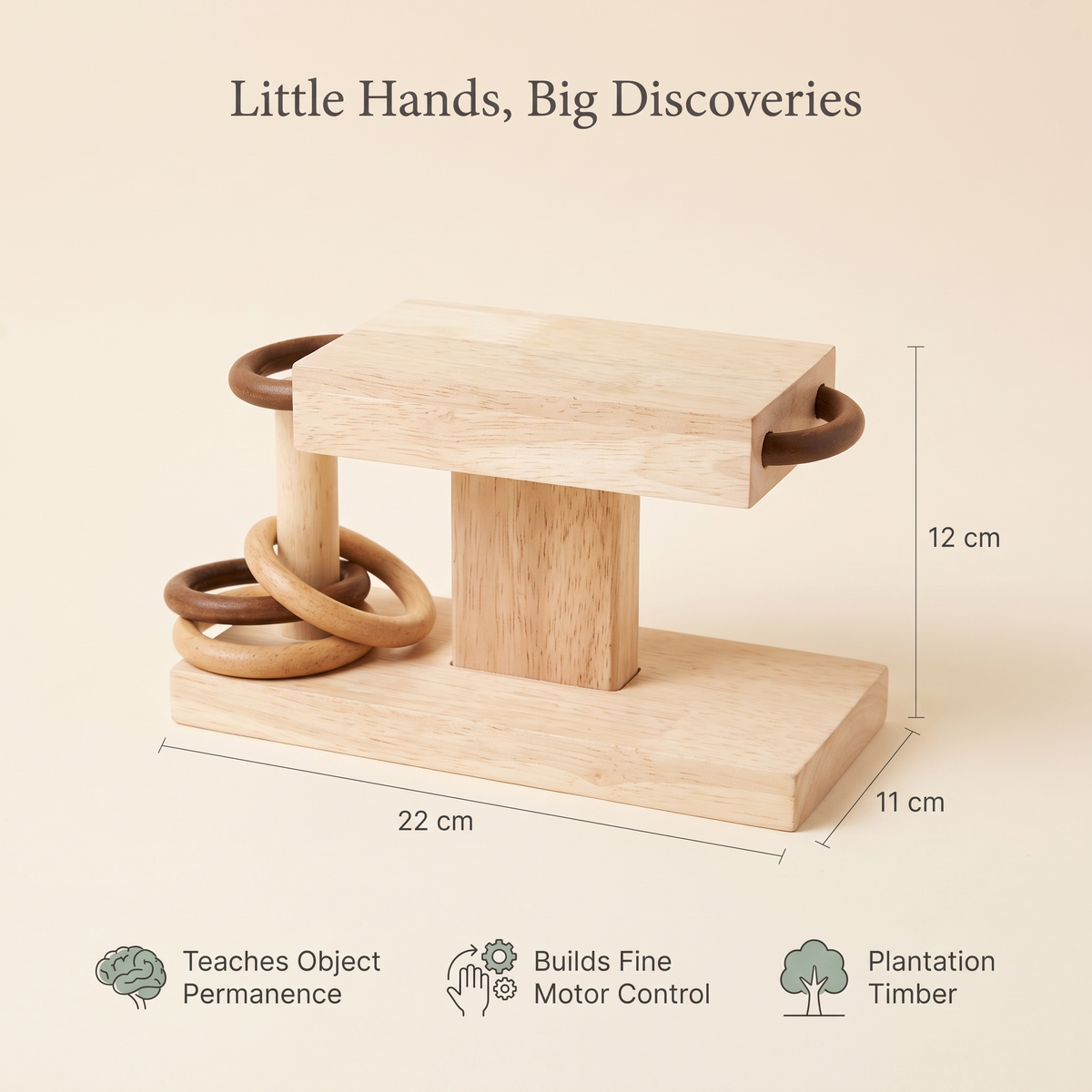 Benefits of the 22 x 11 x 12cm rings activity: teaches object permanence, builds fine motor control, plantation timber