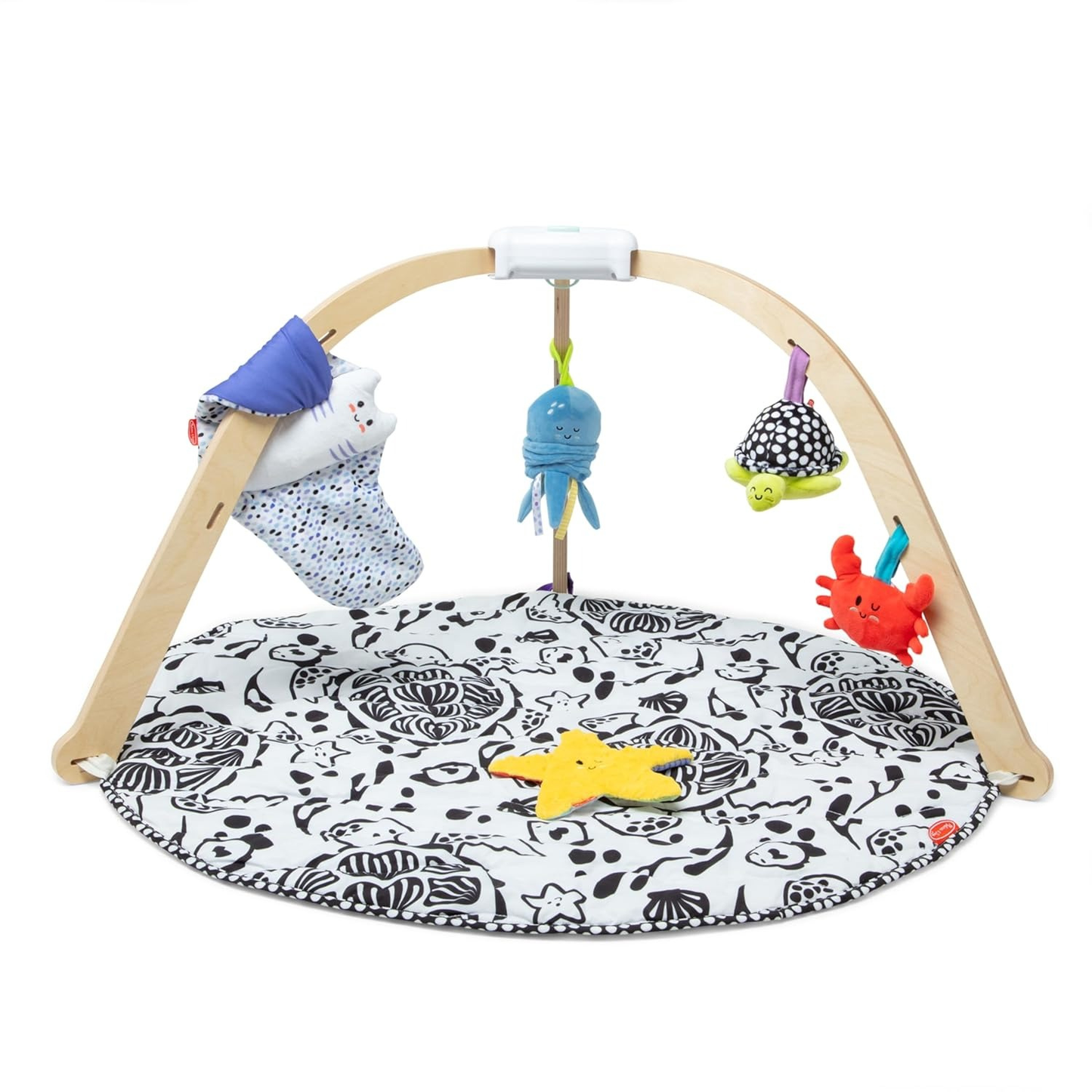 Little Teekie Ocean Baby Play Gym & Sensory Activity Mat